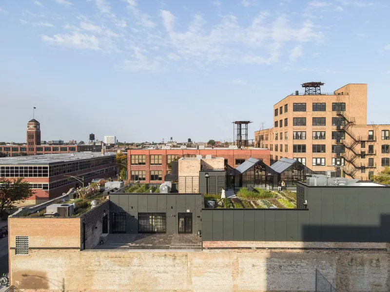 Rooftop view: greenhouses and rooftop farm beds on the converted warehouse, brick neighbours, Chicago skyline beyond
