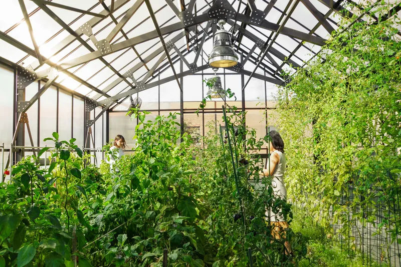 Inside the rooftop greenhouse: lush vegetable and vine growth, two figures tending plants, steel-and-glass frame, pendant lamp