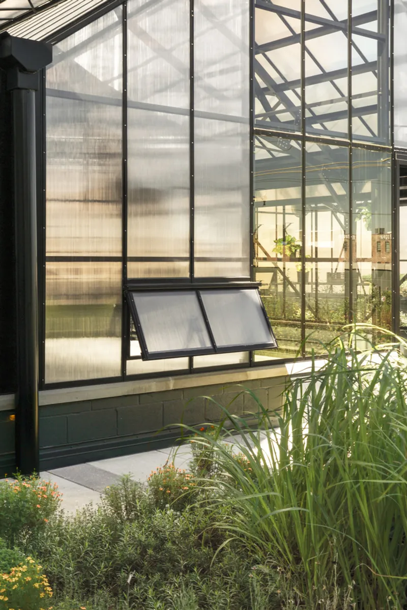 Greenhouse detail: steel frame with louvre window, plants growing outside, brick wall of neighbouring building behind