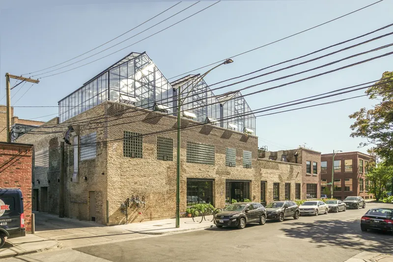 Rear facade: original brick and limestone warehouse from the alley, steel greenhouses visible above the parapet, power lines