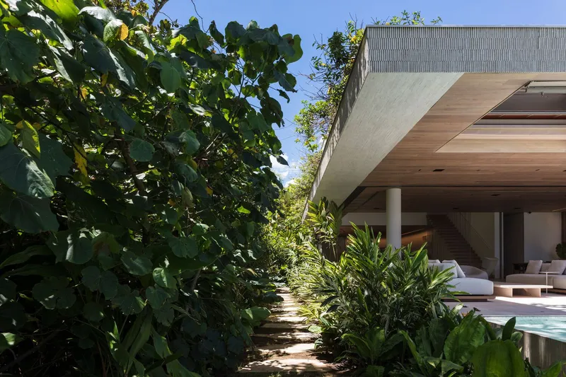 Planted pathway with overhanging concrete volume and timber soffit beside outdoor pool under sunlight