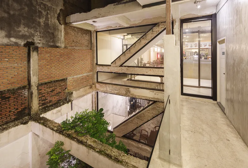 Light well with tree: full height, potted tree reaching toward the sky, concrete frame, glass wall to cafe