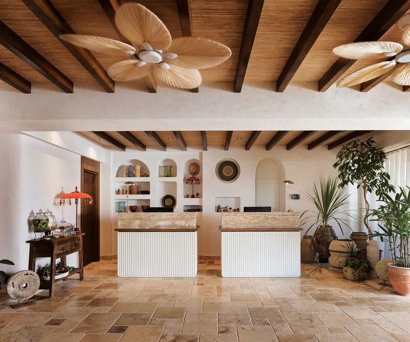 Reception area with two fluted counter desks, exposed timber beam ceiling with palm blade fans, and potted plants