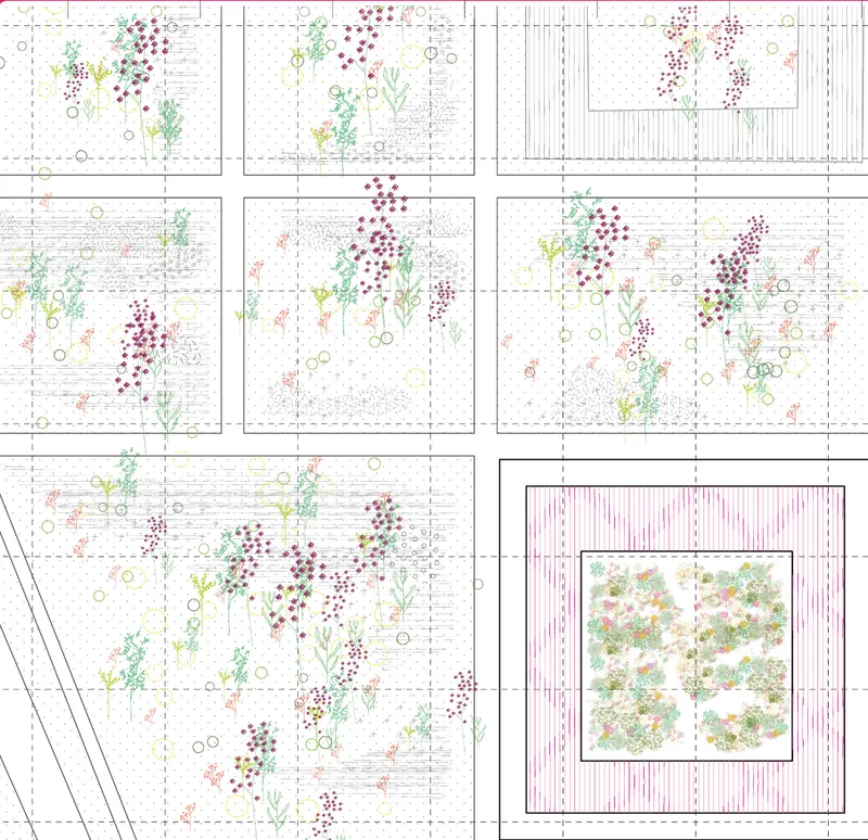 Rooftop garden plan: a grid of individual planted plots with different species in each, and a larger pink-bordered communal garden plot for shared cultivation