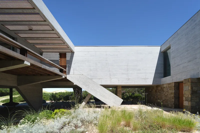 Courtyard from below: concrete stair and V-column, timber pergola on the upper level, stone wall at left, native grasses, blue sky