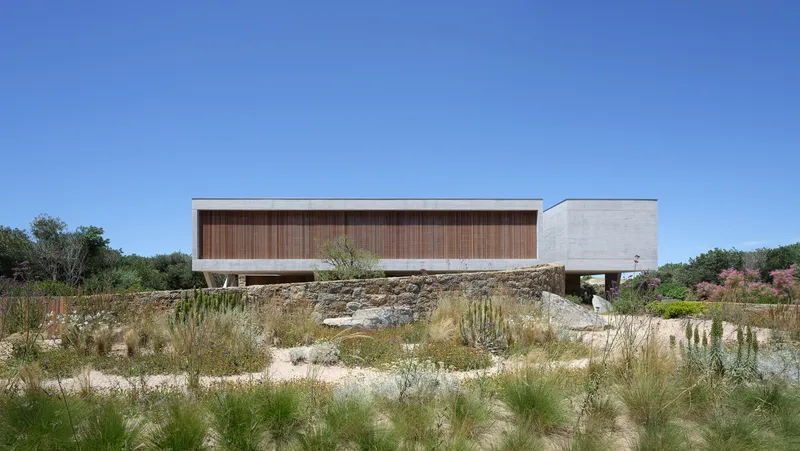 From the dunes: the house as a horizontal concrete bar with timber screen, stone wall base anchoring it to the landscape, native planting