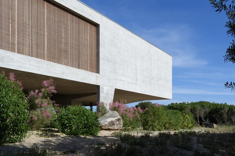 Corner detail: concrete volume cantilevering over pink-flowering shrubs, large boulder beneath, timber louvre screen, blue sky