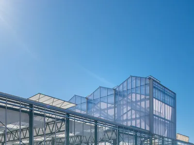 V8 Architects Turns a Working Greenhouse into a Public Pavilion for Floriade