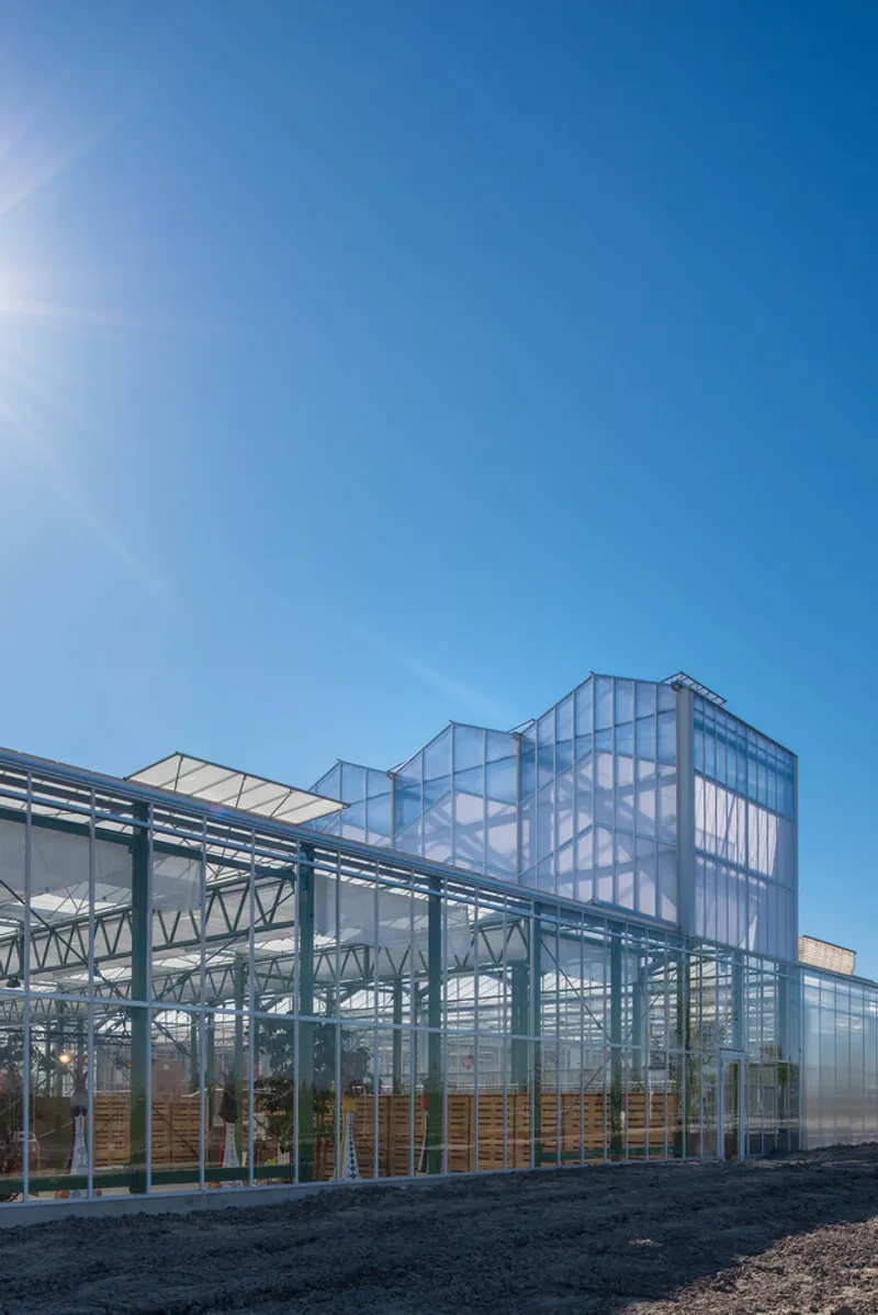 Transparent glass greenhouse with exposed steel framework and elevated volume under a clear blue sky