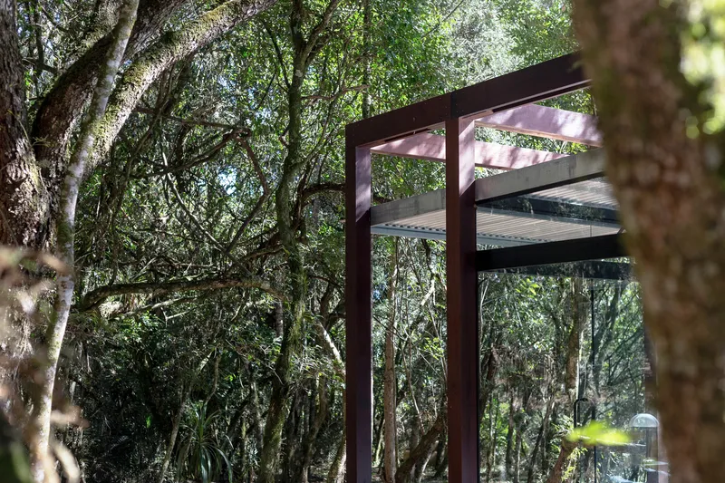 Corner detail: corten steel frame meeting glass, dense forest canopy pressing close, moss on the branches, green filtered light