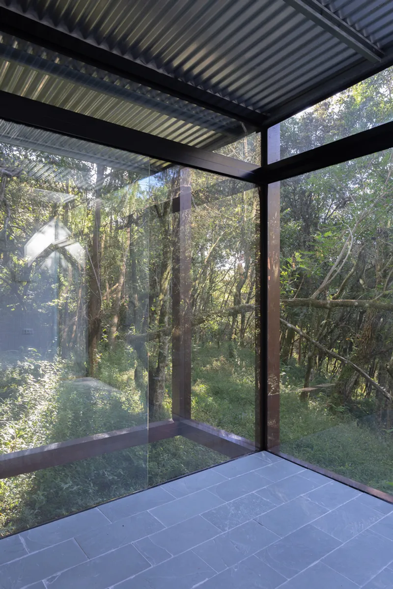 Glass corner: full-height glazing meeting at the corner, corrugated metal ceiling, dense forest canopy beyond, morning haze filtering through the trees