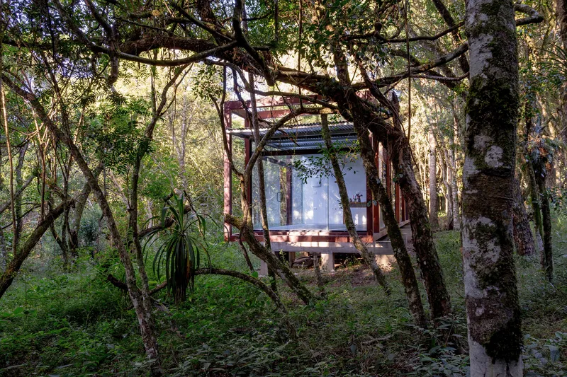 From the undergrowth: glass pavilion visible through the dense forest, warm interior light glowing, corten frame, corrugated roof, green foliage