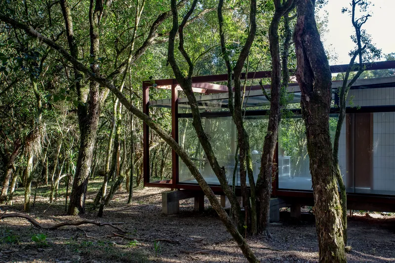 Through the forest: glass pavilion on concrete piers, corten steel frame, corrugated roof, twisted tree trunks in the foreground, dappled light