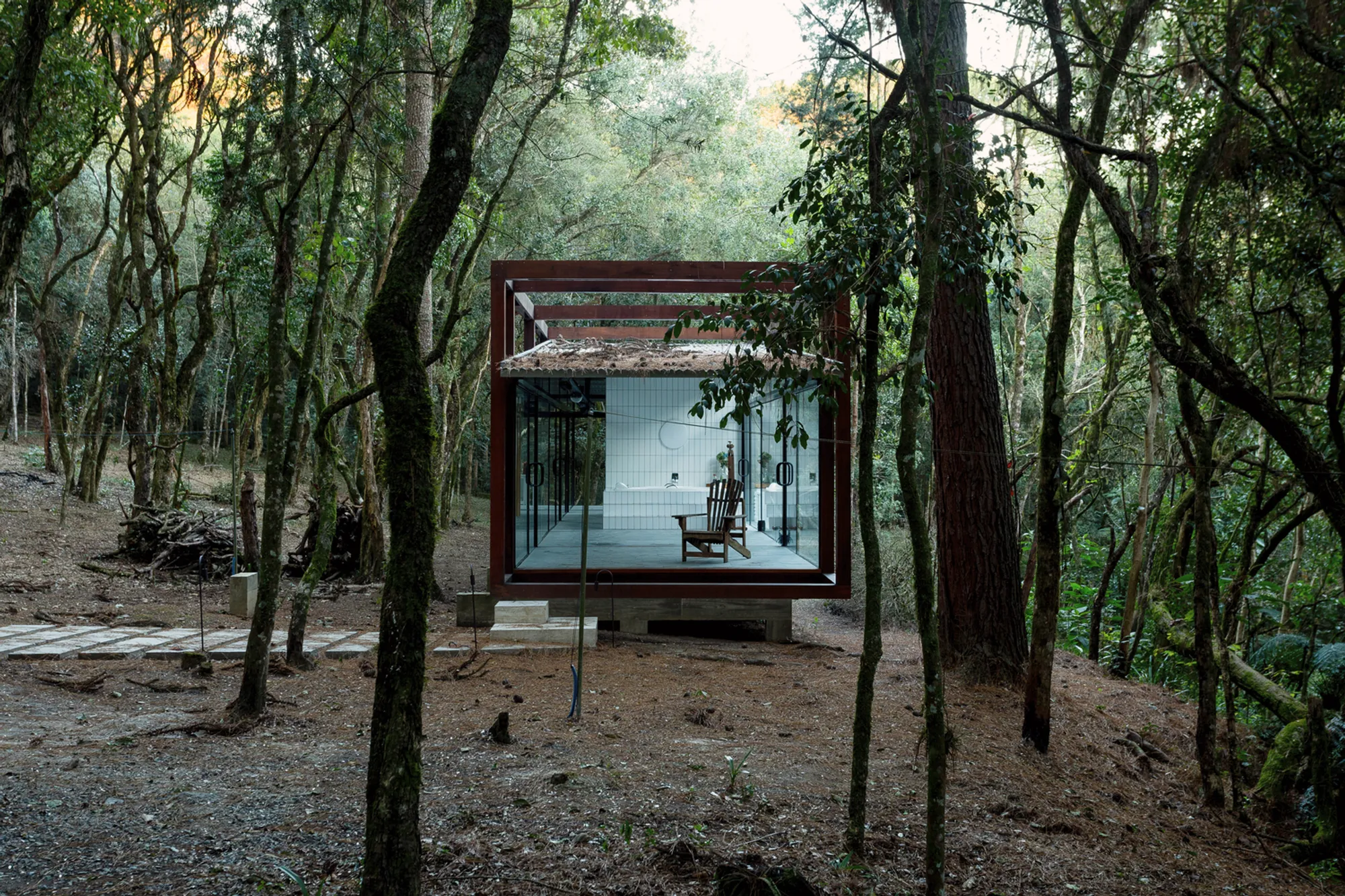 Guaju Pavilion: A Glass Bath in a Brazilian Forest