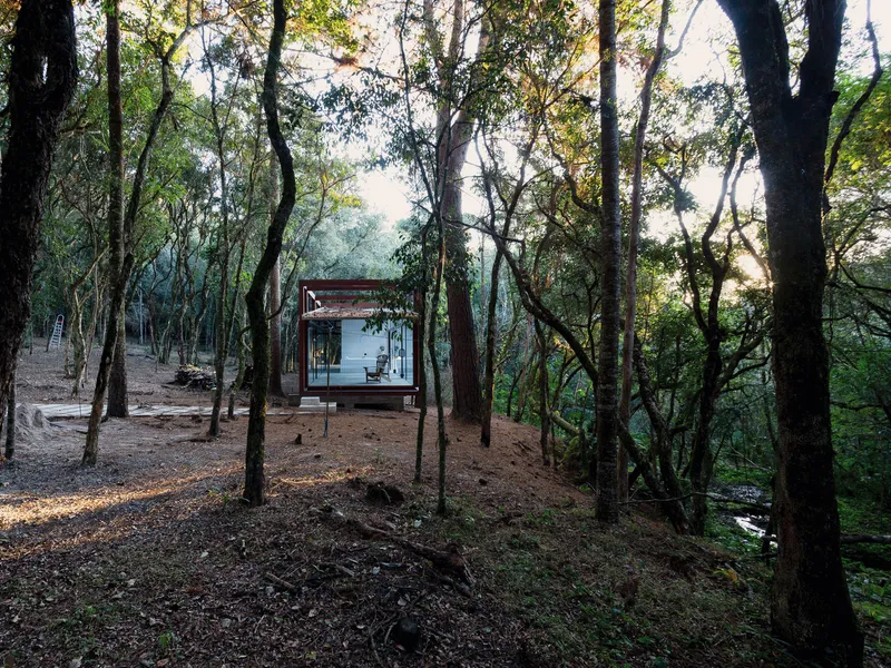 Through the trees: glass pavilion on a slight rise in the forest, corten steel frame, corrugated roof, leaf litter on the ground, evening light