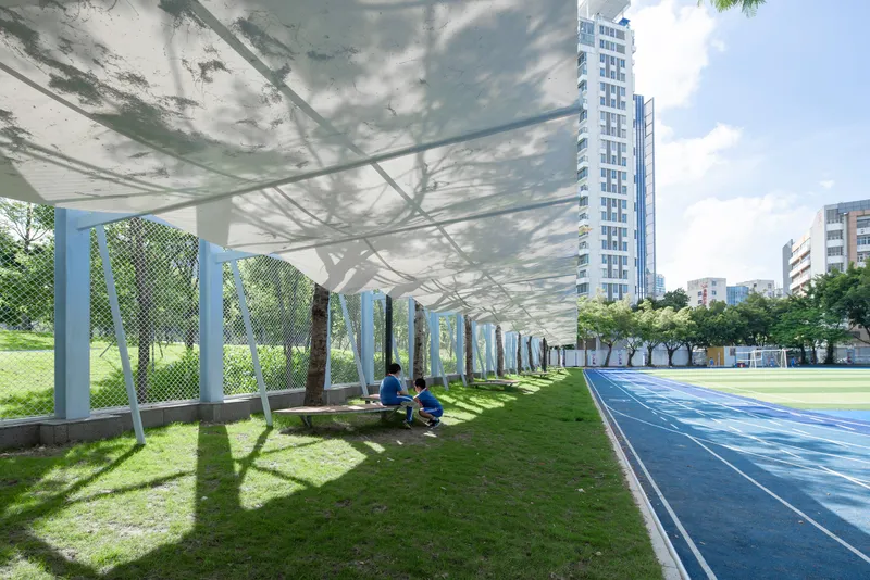 Underside view of the tensile membrane structure showing shadow patterns cast on the grass below