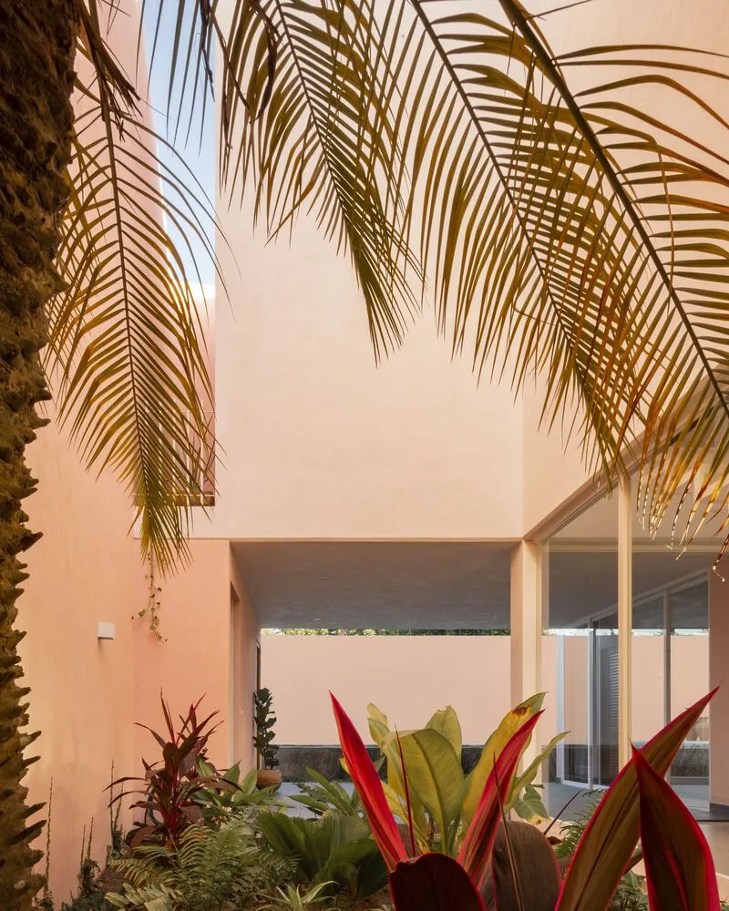 Interior courtyard garden with tropical plantings beneath overhanging palm fronds and pink stucco walls