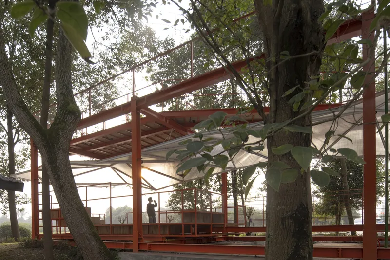 Morning light: orange steel frame with open sides, timber benches on the lower deck, figure standing inside, large tree trunk in foreground