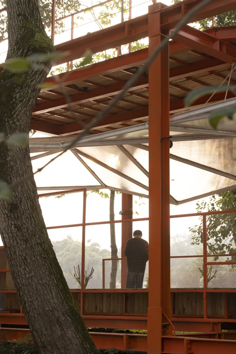 Figure standing on the upper deck at dawn, orange steel columns, translucent canopy, hazy morning light filtering through the trees