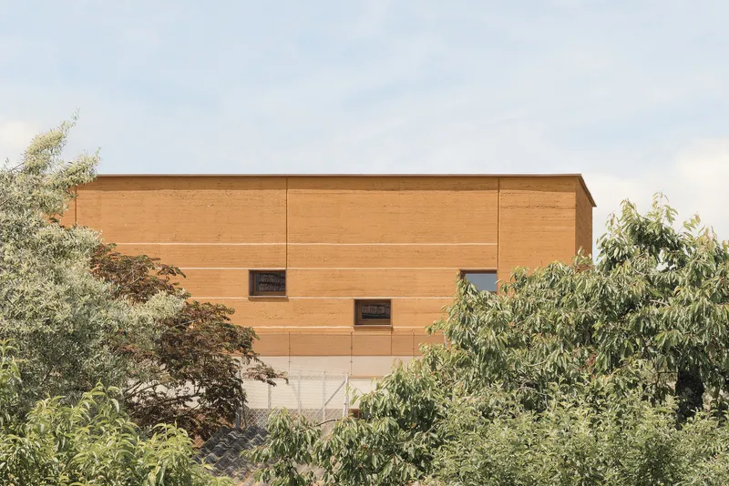 Gymnasium volume from above the trees: two-storey rammed earth with small scattered windows, tree canopy in foreground