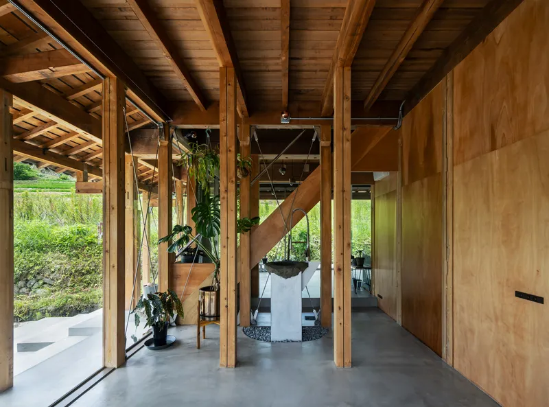 Timber-framed entrance space with hanging plants and a plywood-clad staircase leading to an upper level