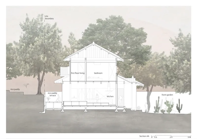 Section drawing showing split-level arrangement with rice paddy terrace and front garden with cacti