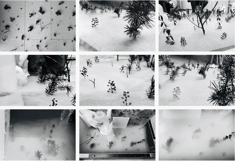 Nine-panel black and white grid of physical model experiments: cotton mist, miniature plants, and water used to study spatial density and threshold effects