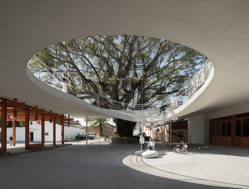 Circular roof opening framing a large tree with spreading branches above a paved courtyard