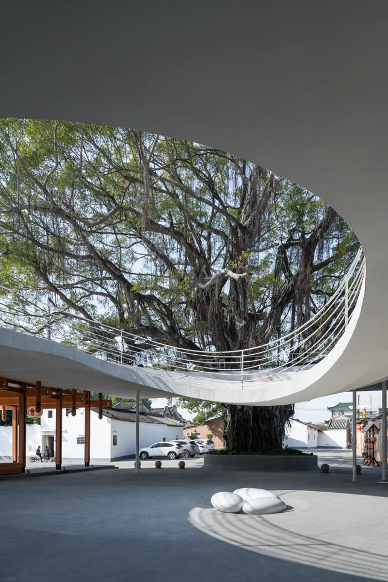 Circular courtyard with large tree emerging through the curved roof opening and white stone seating below