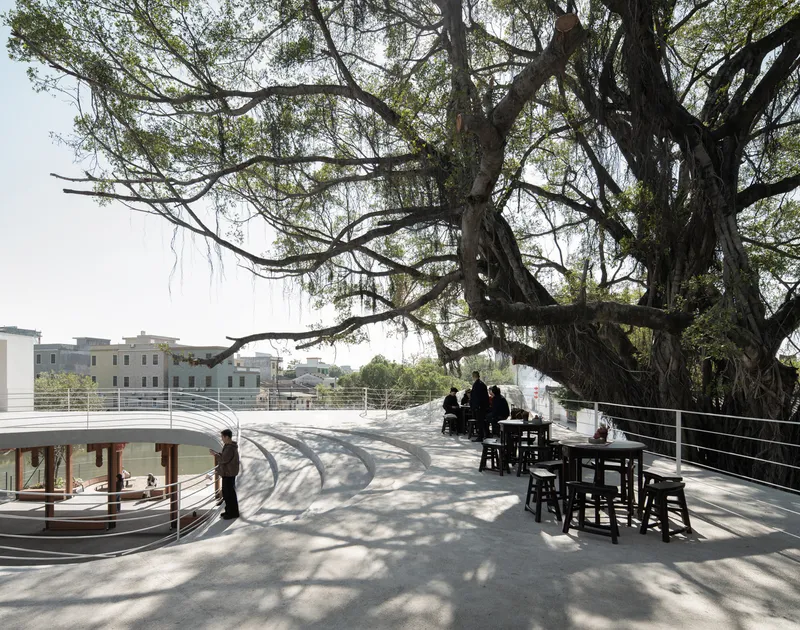 Rooftop terrace with metal railing and wooden furniture beneath sprawling tree branches in afternoon light