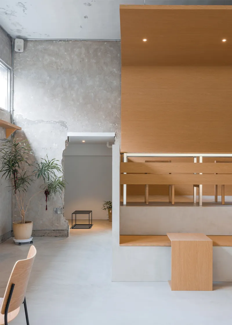 Platform from the entry: birch plywood volume with timber ceiling rising above the main floor, dried plant arrangement at left, stools