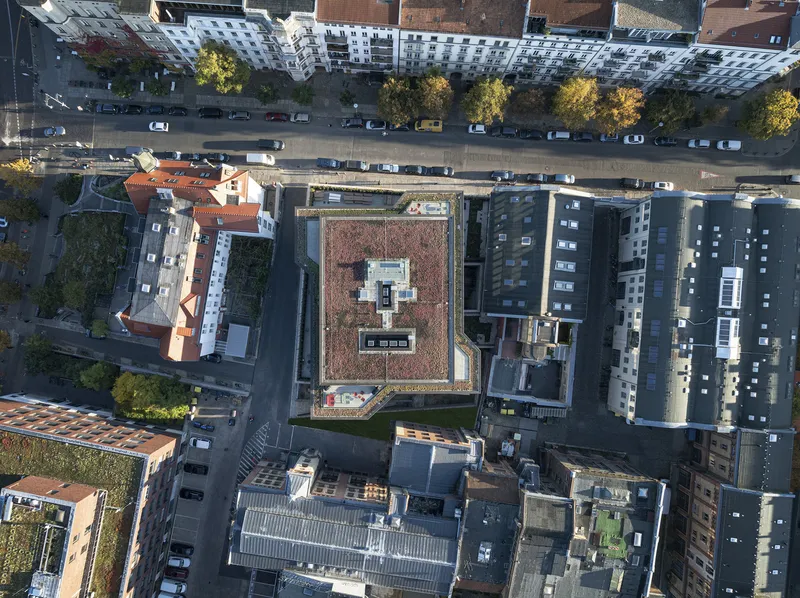Aerial view of the green roof with planted beds and rooftop skylights nestled among urban blocks