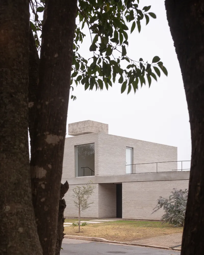 The house through tree canopy: brick upper volume above concrete base, reserve beyond
