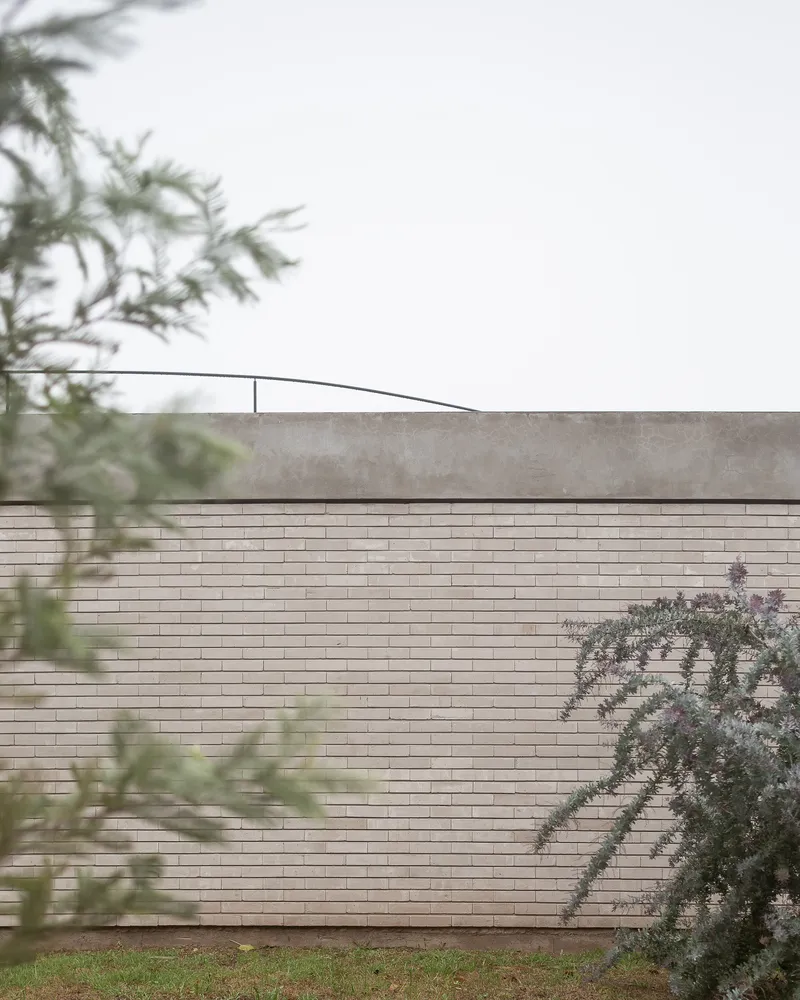 Roofline through planting: the long brick parapet and metal railing seen from the garden