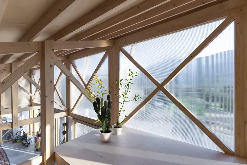 Interior corner with diagonal timber bracing and translucent corrugated panels framing potted cacti on concrete sill