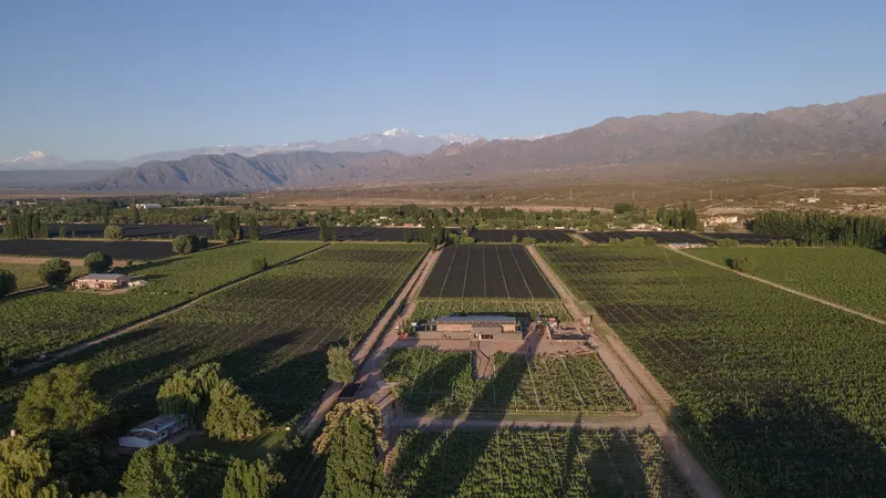 Aerial view of winery complex surrounded by agricultural fields and mountain range in afternoon light