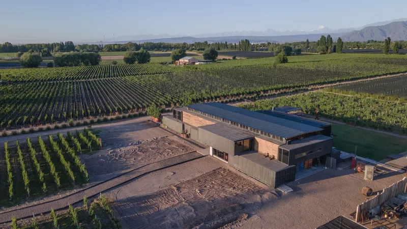 Angled drone view showing flat roofline and courtyard bordered by vineyard in late afternoon