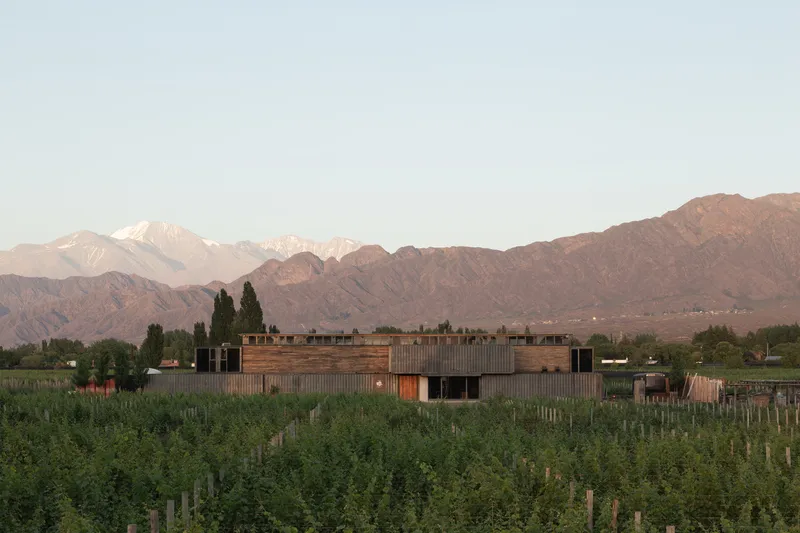 Horizontal timber and metal clad facade emerging from vineyard rows with snowcapped mountains beyond