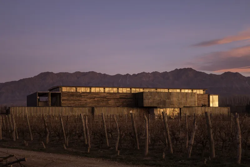 Distant view of the illuminated timber and metal structure beyond dormant vineyard rows at twilight