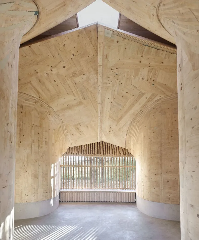 Vaulted plywood interior space with arched opening framing vertical timber screen beyond