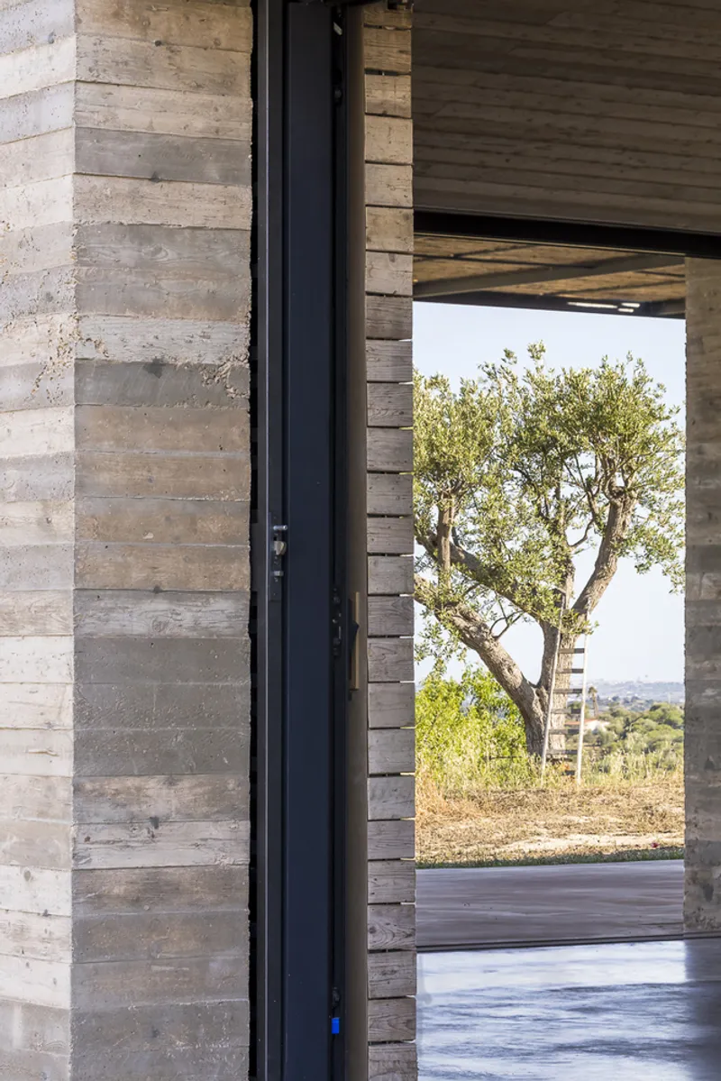 Black steel door frame opening from board-formed concrete walls to an olive tree in midday light