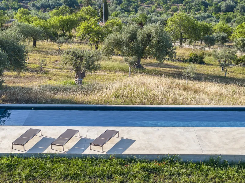 Swimming pool terrace with three lounge chairs beside an olive grove on a sunlit hillside