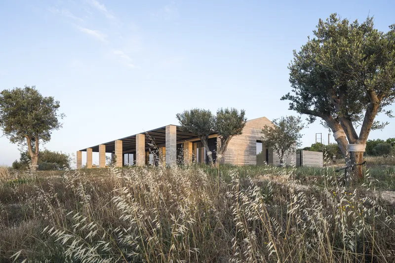Horizontal timber-clad pavilion with exposed roof beams viewed through tall dry grasses and olive trees