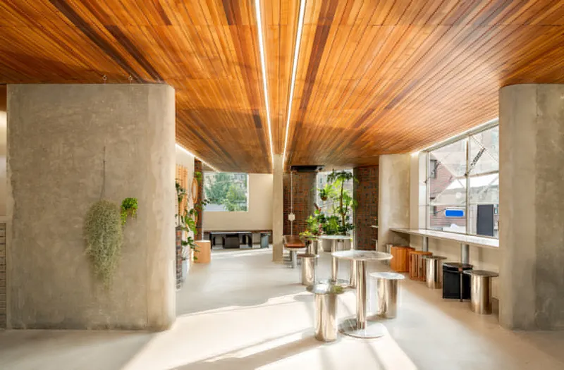 Interior space with radiating timber ceiling and exposed concrete columns framing seated area with potted plants