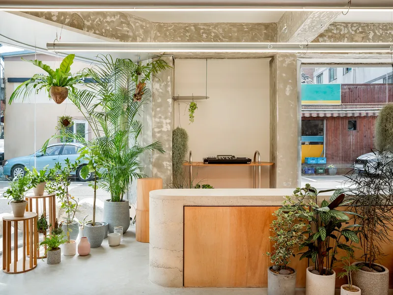 Reception desk with curved terrazzo counter framed by palms and hanging plants near the glazed street front
