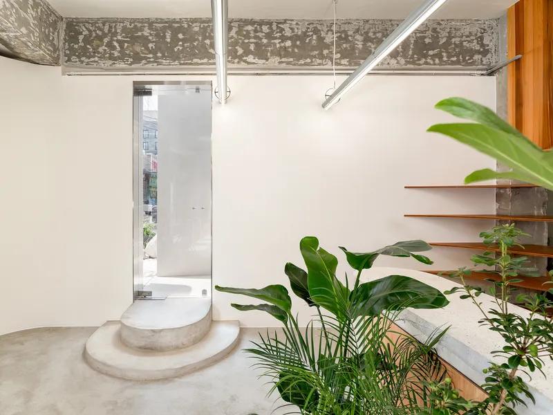 Curved terrazzo steps ascending toward a glazed entrance with tropical plants in the foreground