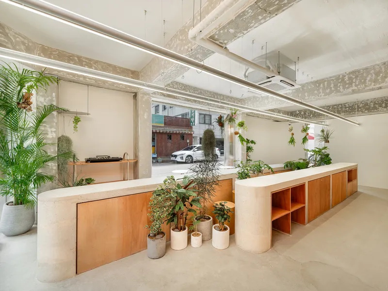 Interior workspace with timber millwork, hanging plants, and large storefront window facing the street
