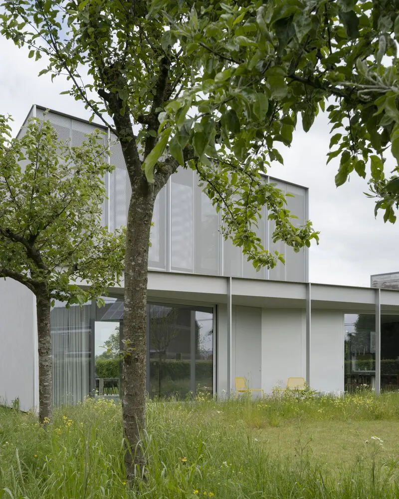 Garden facade with perforated screens and ribbon windows framed by a mature fruit tree