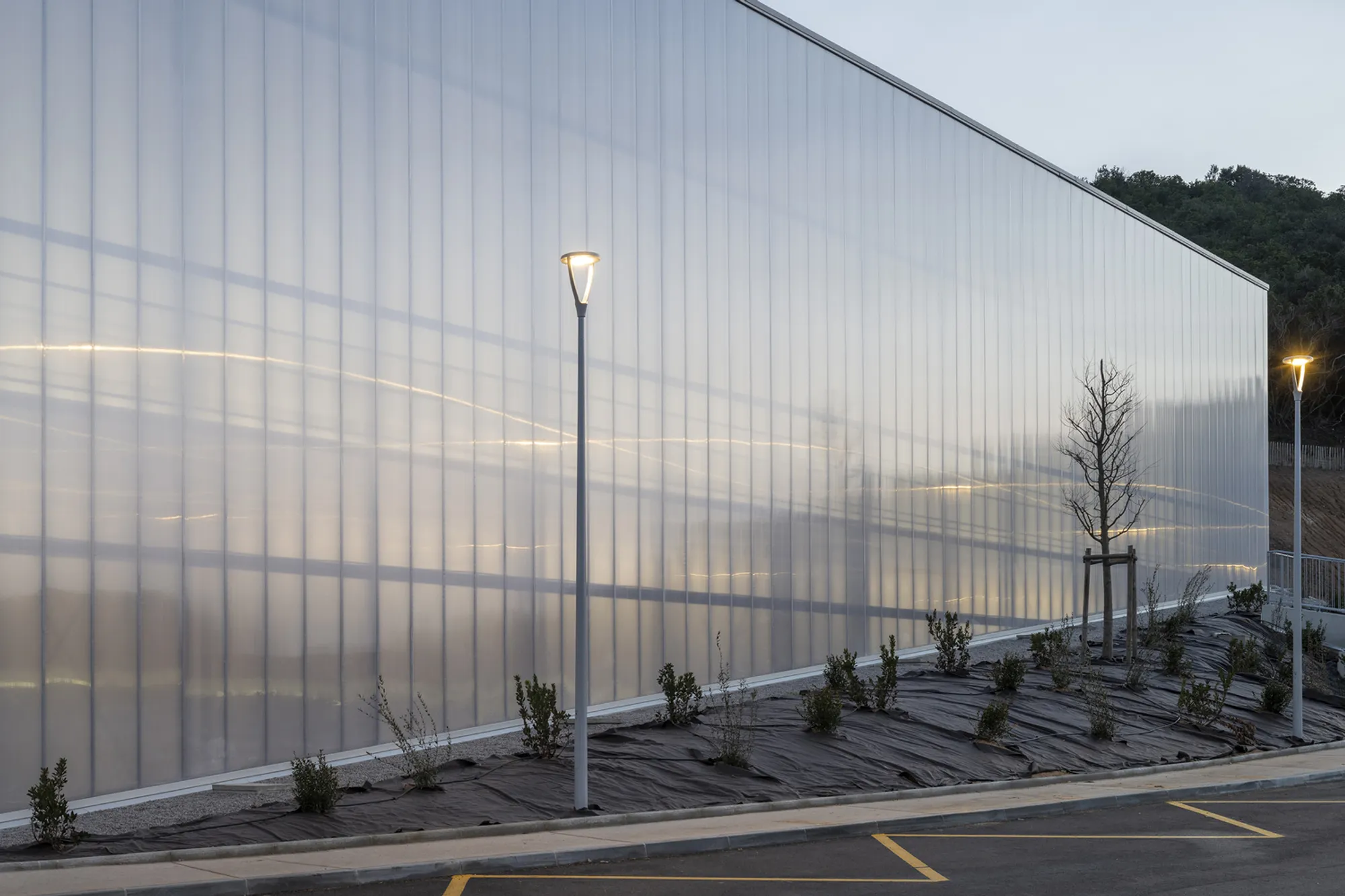Versini Architectes Tucks a Glowing Sports Hall into a Corsican Hillside