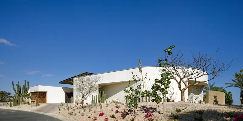 Street approach: long low white-rendered volume curving along the road, cardon cactus and native desert planting at the entry, cloudless sky